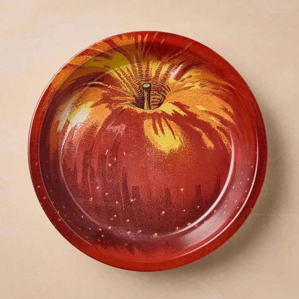 JOHN DERIAN NWT round stoneware apple pie baking dish -10”